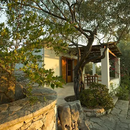 Nereidi Pool Holiday home *
