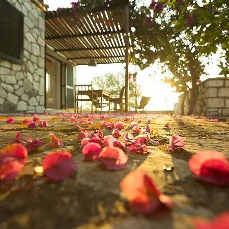 Vakantiehuis Nereidi Pool *