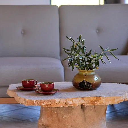 Vakantiehuis Nereidi Pool *