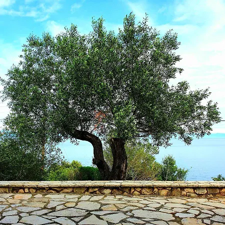 Nereidi Pool Vakantiehuis